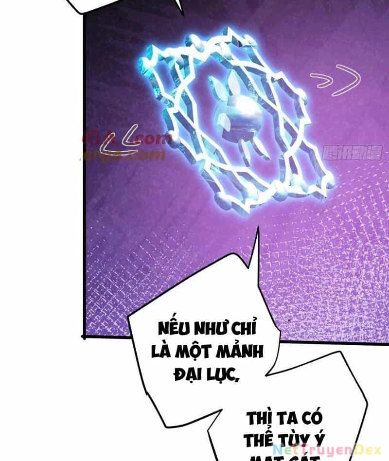 Đại Thừa Kỳ Mới Có Nghịch Tập Hệ Thống - Chương 49 - ảnh 48