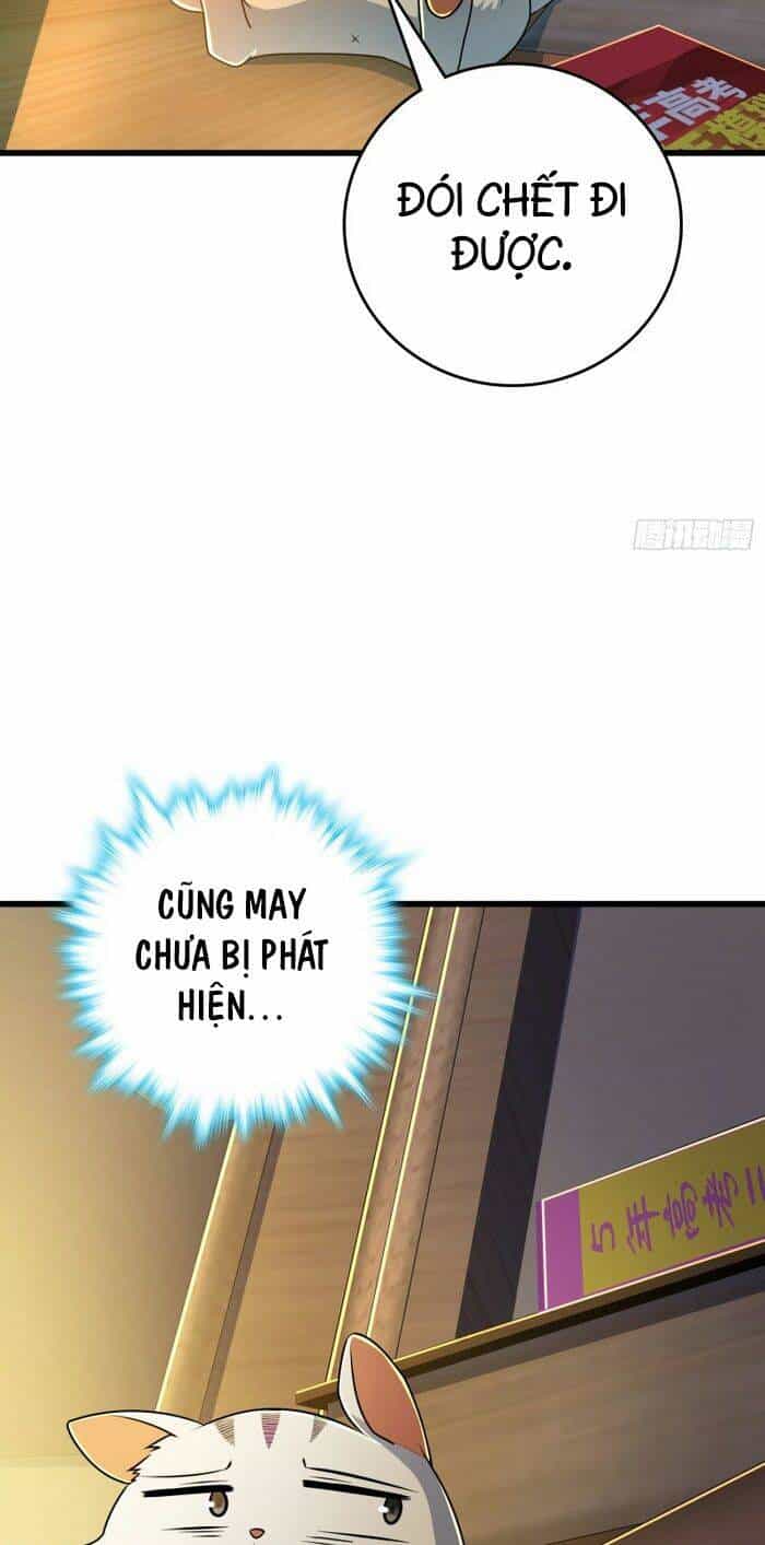 Đại Vương Tha Mạng - Chương 204 - ảnh 11