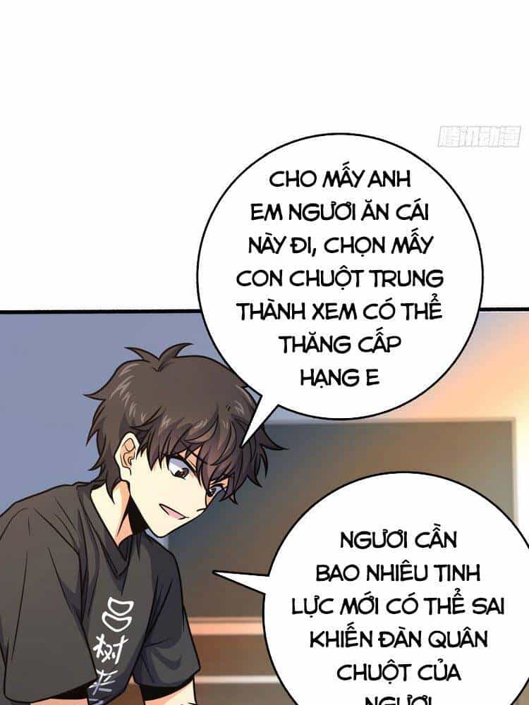 Đại Vương Tha Mạng - Chương 255 - ảnh 14