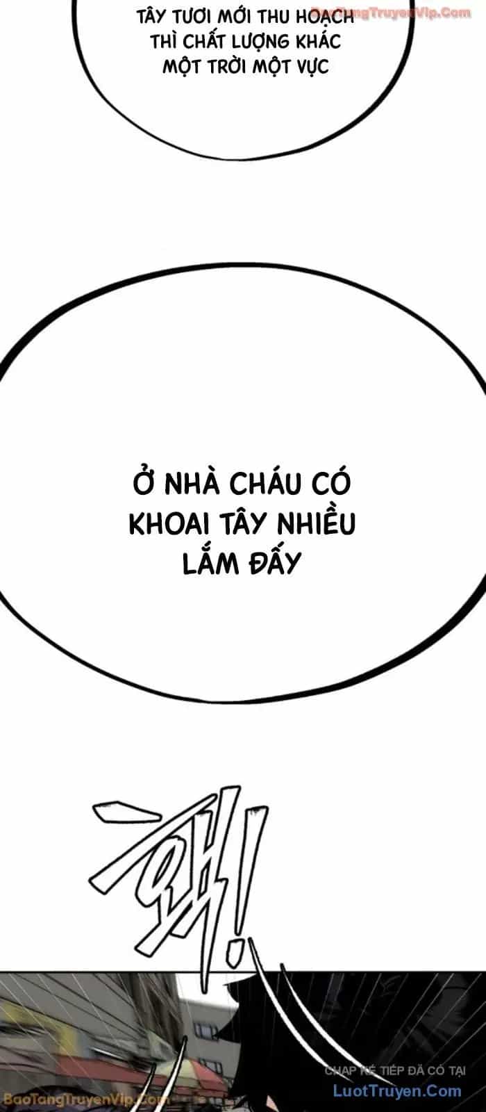Dàn Harem Của Anh Bán Rong - Chương 16 - ảnh 54
