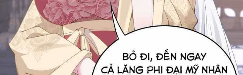 Đập Vỡ Hoàng Đế Nữ Nhi Thân - Chương 3 - ảnh 24