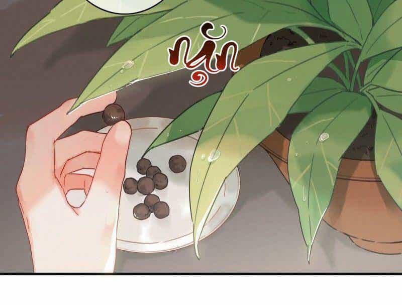 Đề Đốc Tự Ta Tu Dưỡng - Chương 16 - ảnh 20