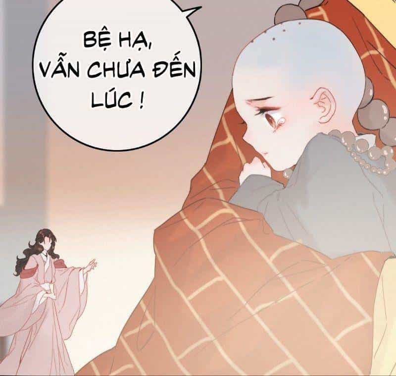 Đề Đốc Tự Ta Tu Dưỡng - Chương 17 - ảnh 40