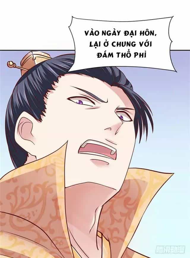 Đế Hoàng Chi Thần Y Khí Phi - Chương 0 - ảnh 53