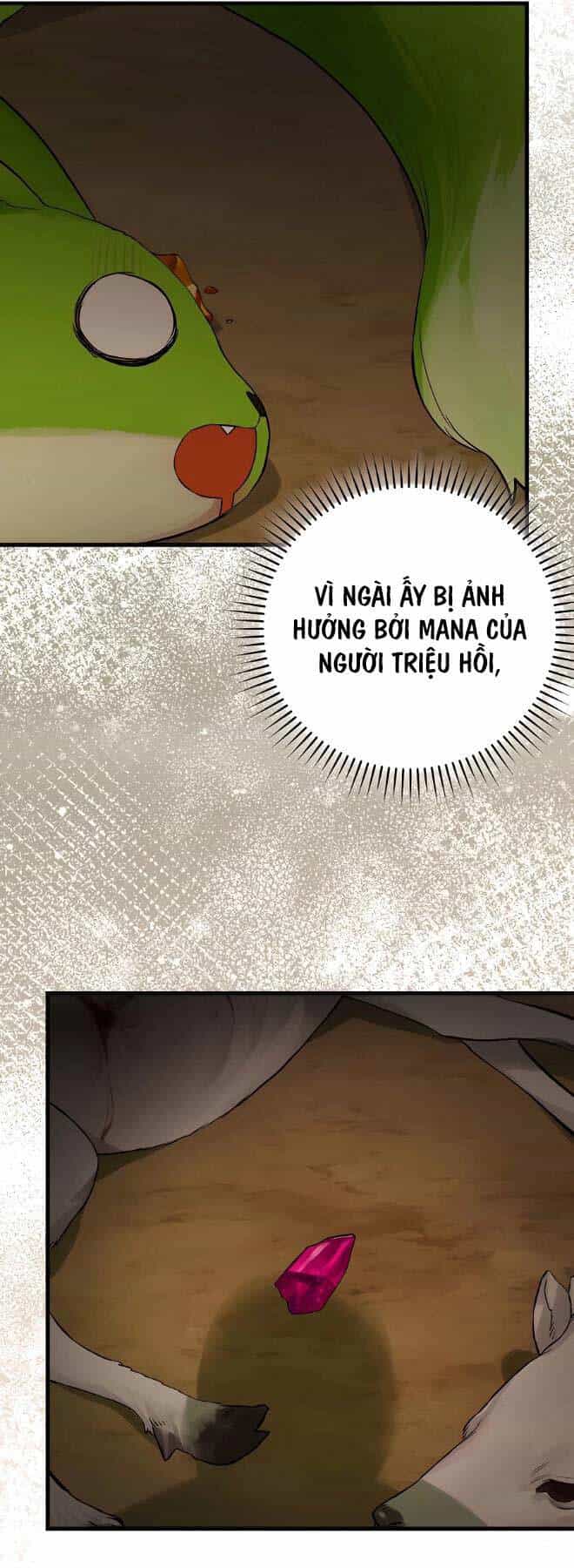 Đệ Nhất Chiến Thần Của Học Viện Thợ Săn - Chương 13 - ảnh 62