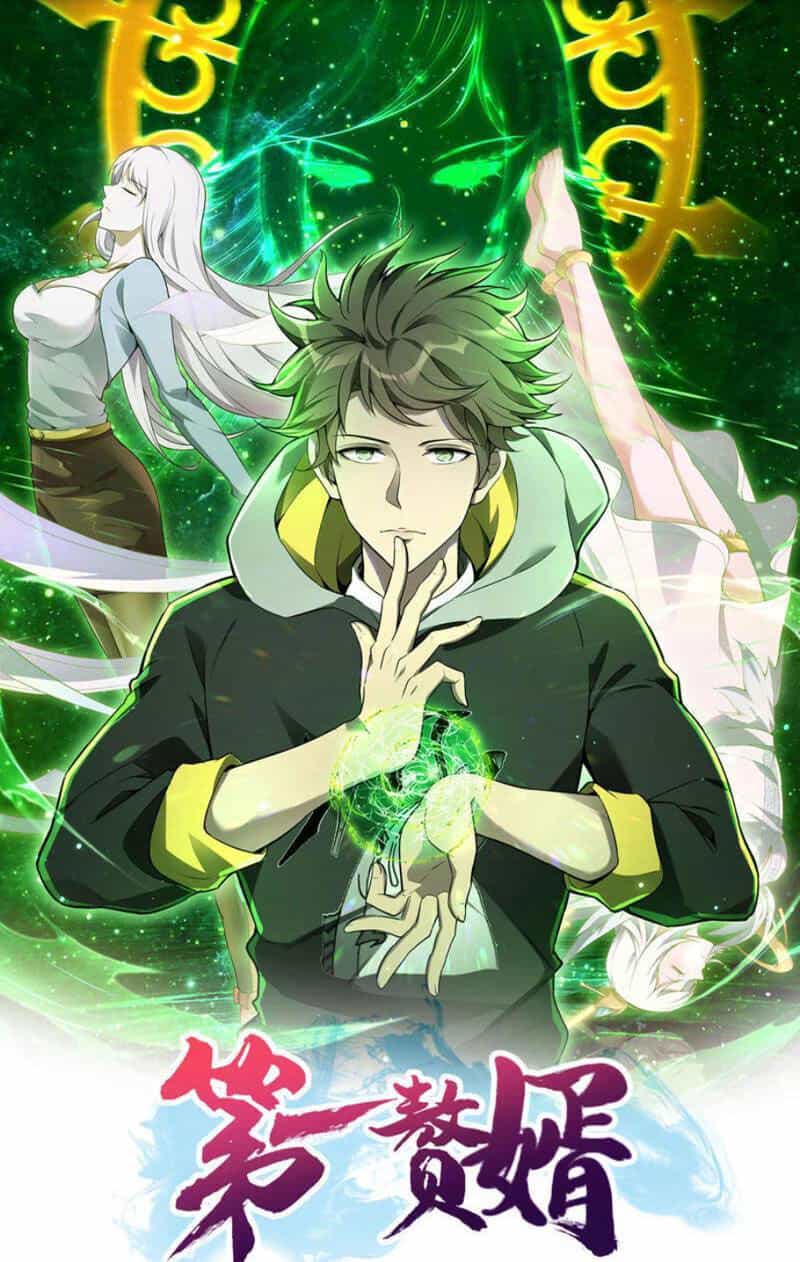 Đệ Nhất Ở Rể - Chương 304 - ảnh 1