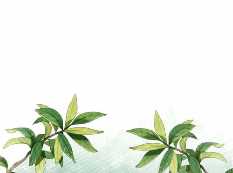 Đệ Nhất Võ Sư, Baek Cao Thủ - Chương 16 - ảnh 2