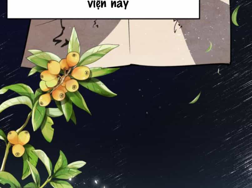 Đệ Nhất Võ Sư, Baek Cao Thủ - Chương 16 - ảnh 5