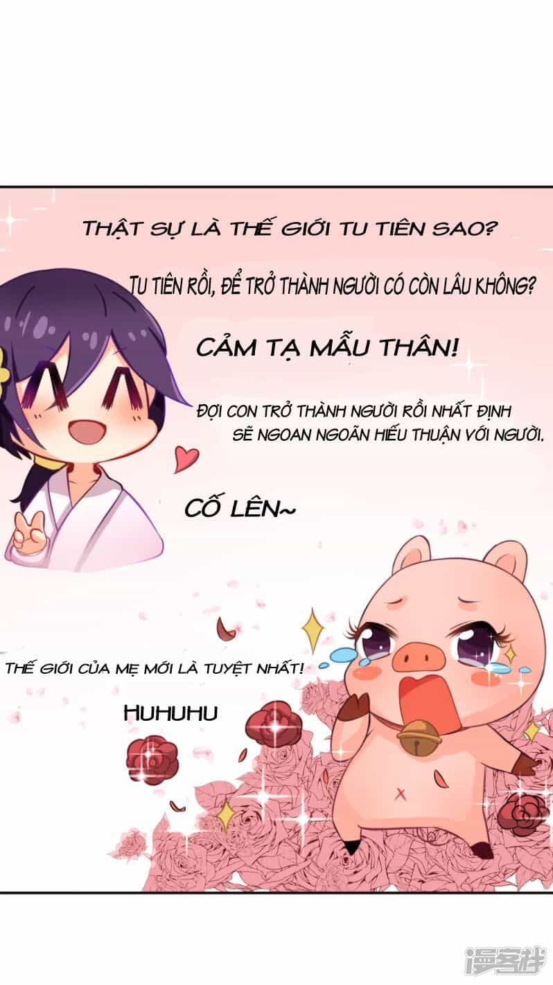 Đệ Tử Của Ta Là Heo - Chương 2 - ảnh 4