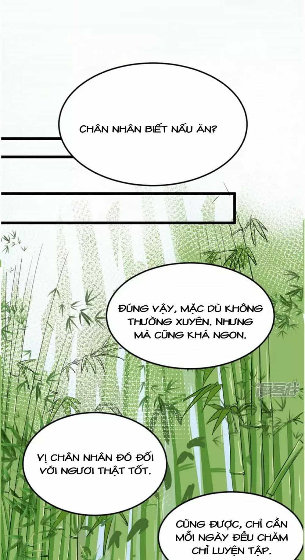 Đệ Tử Của Ta Là Heo - Chương 6 - ảnh 25
