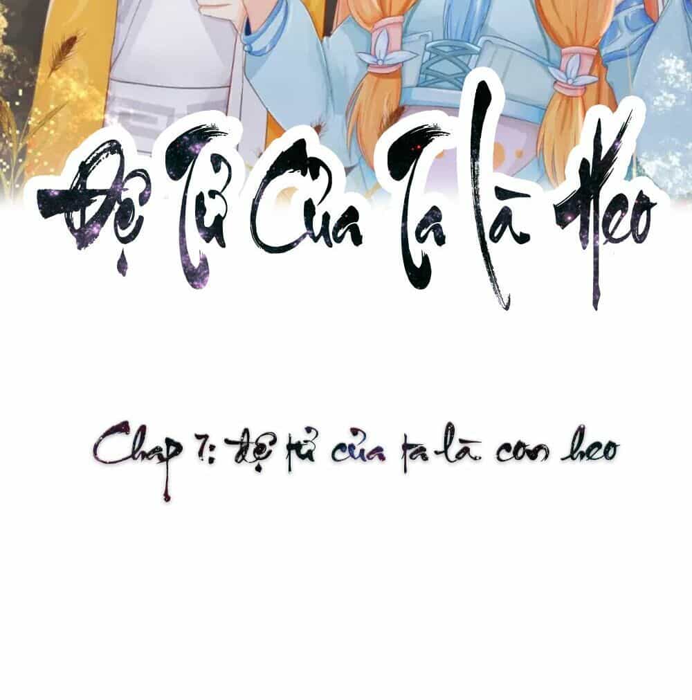 Đệ Tử Của Ta Là Heo - Chương 7 - ảnh 3