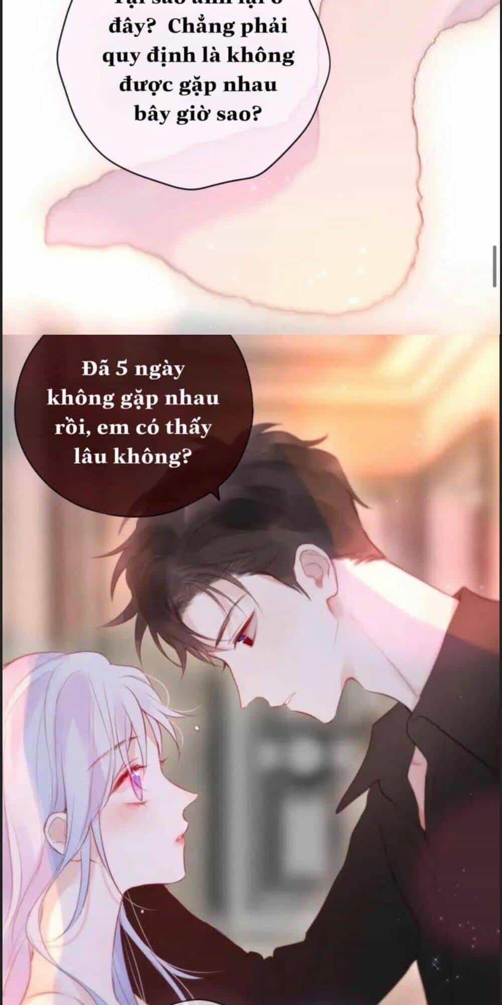 Đêm Ngày Không Dứt - Chương 93 - ảnh 33