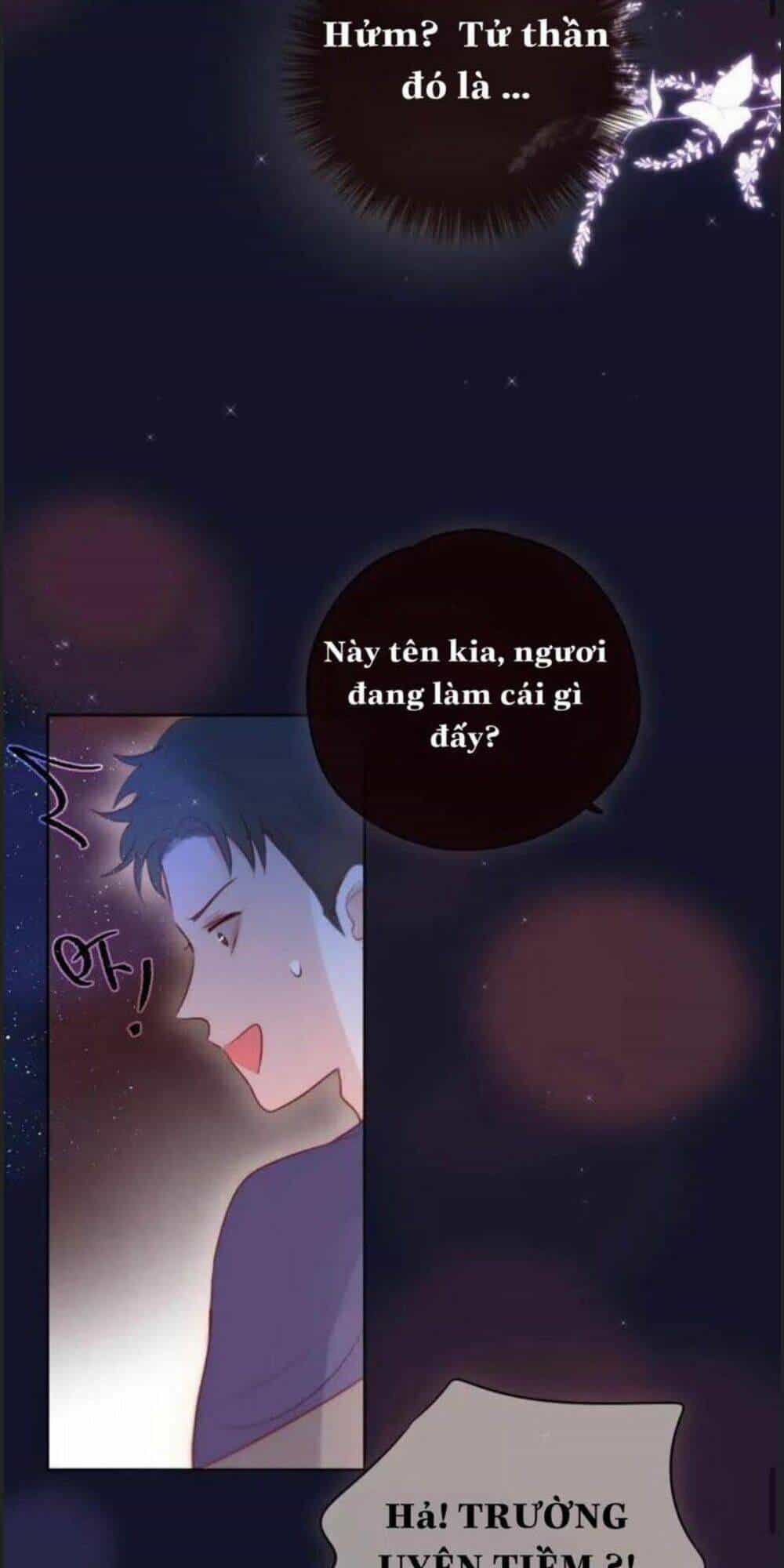 Đêm Ngày Không Dứt - Chương 95 - ảnh 20