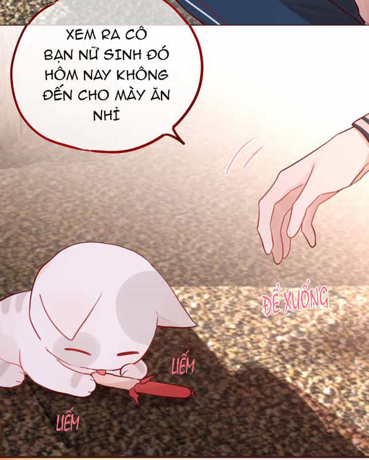 Đêm Ngày Không Dứt - Chương 4 - ảnh 32