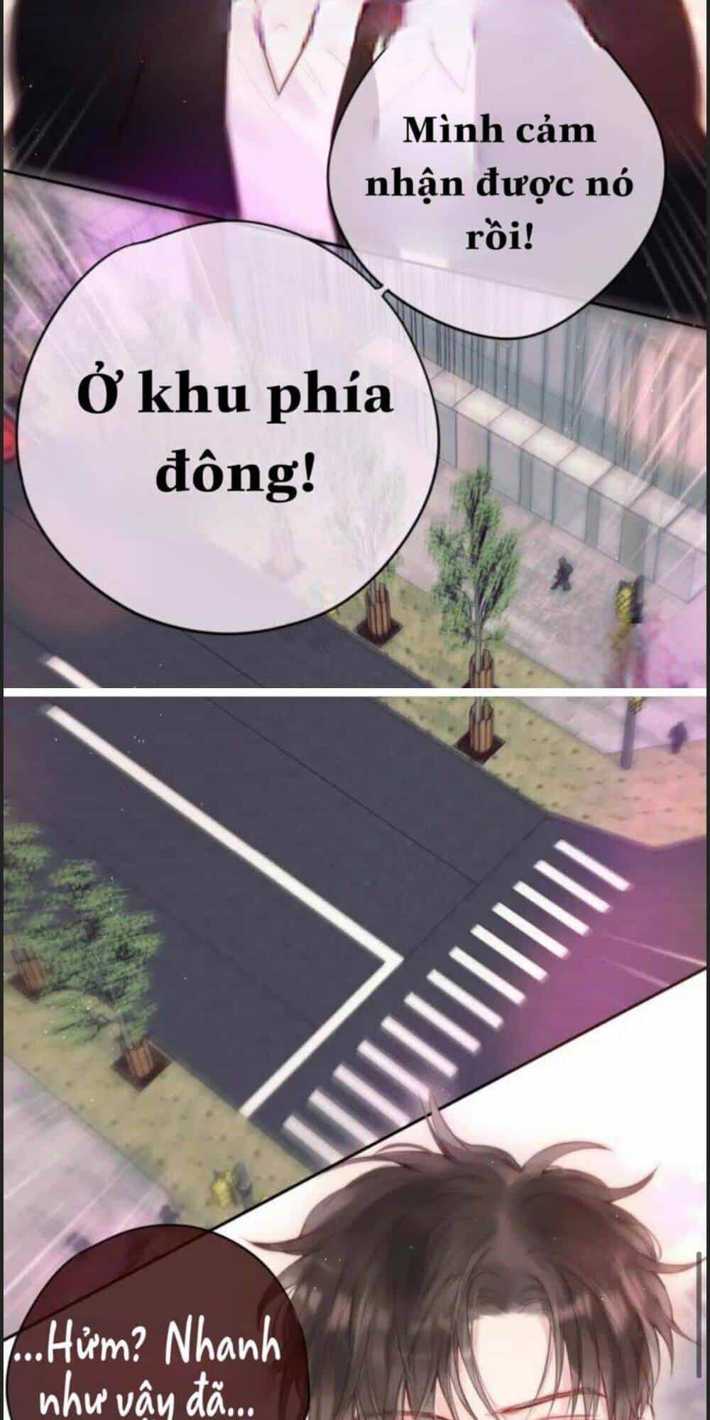 Đêm Ngày Không Dứt - Chương 85 - ảnh 3