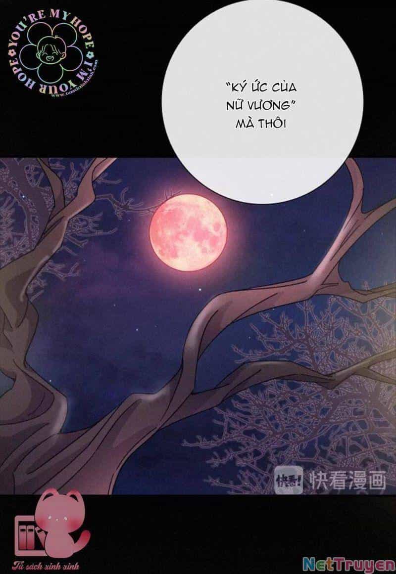 Đêm Tối Chốn Này - Chương 56 - ảnh 10