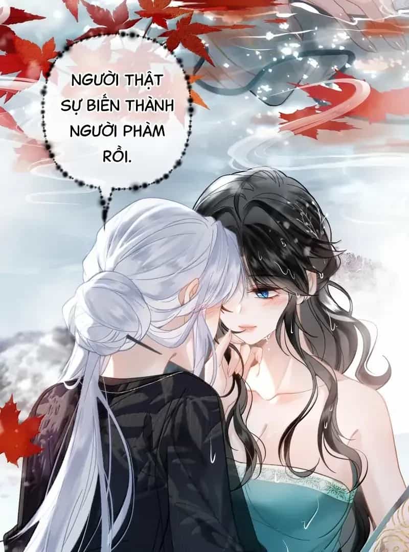 Đến Đông Hải Tìm Mỹ Nhân - Chương 36 - ảnh 11
