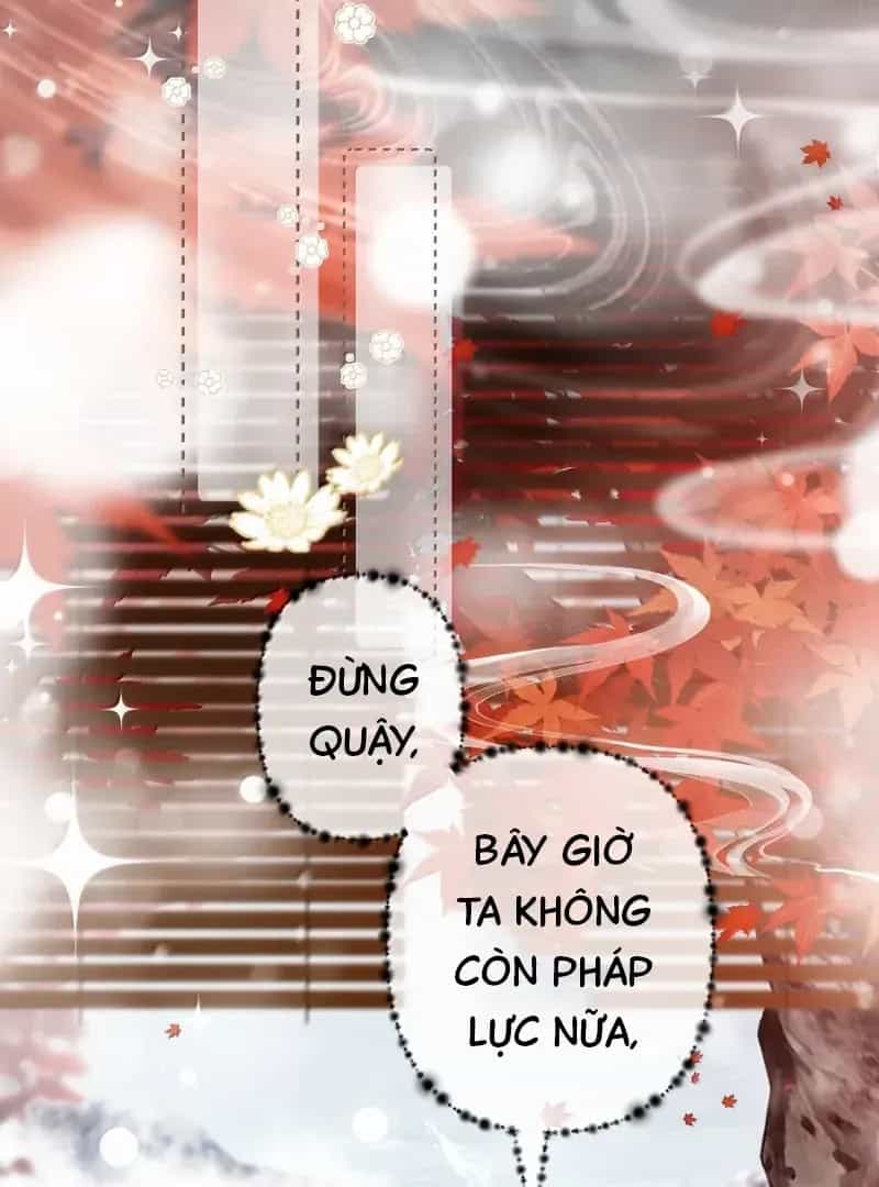 Đến Đông Hải Tìm Mỹ Nhân - Chương 36 - ảnh 6