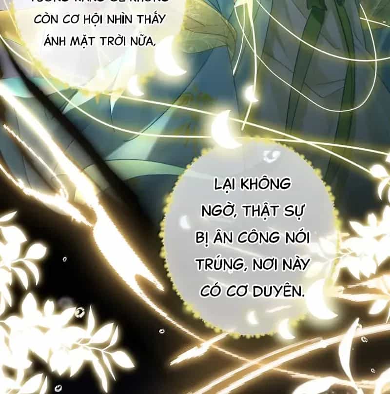 Đến Đông Hải Tìm Mỹ Nhân - Chương 37 - ảnh 10