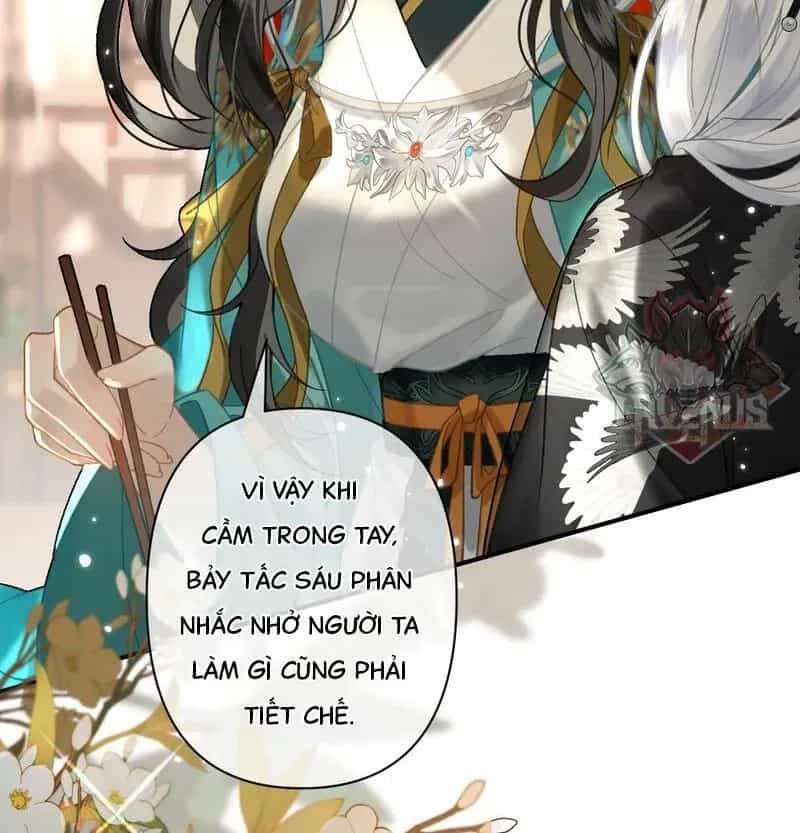 Đến Đông Hải Tìm Mỹ Nhân - Chương 40 - ảnh 11