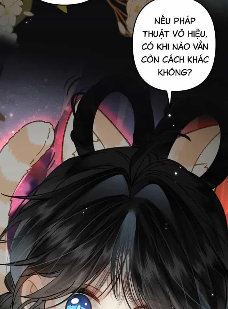 Đến Đông Hải Tìm Mỹ Nhân - Chương 46 - ảnh 39