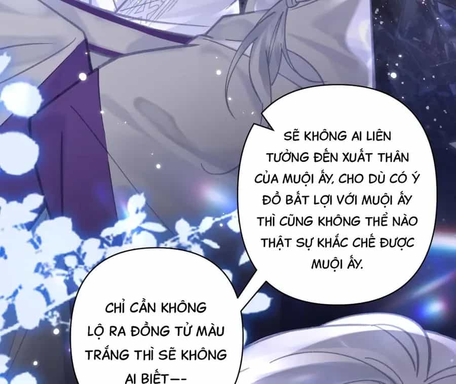 Đến Đông Hải Tìm Mỹ Nhân - Chương 48 - ảnh 15