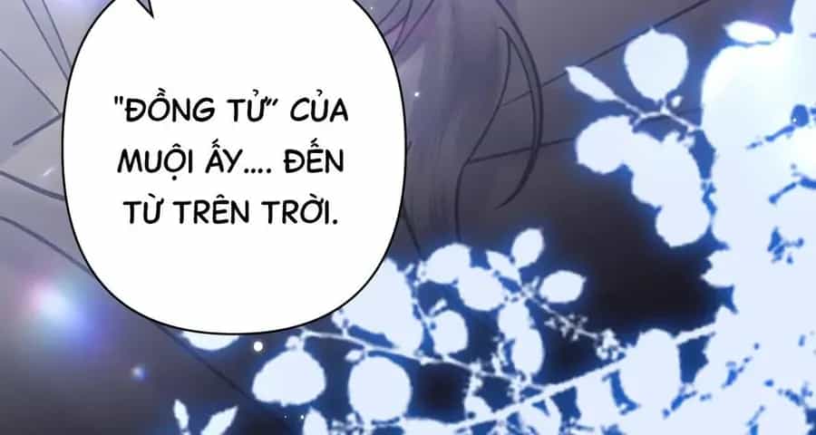 Đến Đông Hải Tìm Mỹ Nhân - Chương 48 - ảnh 19