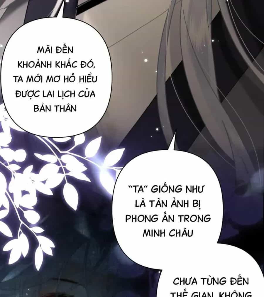 Đến Đông Hải Tìm Mỹ Nhân - Chương 52 - ảnh 52