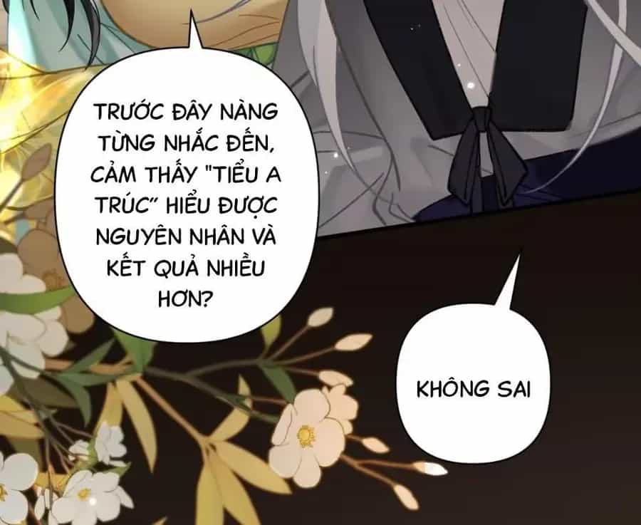 Đến Đông Hải Tìm Mỹ Nhân - Chương 53 - ảnh 11