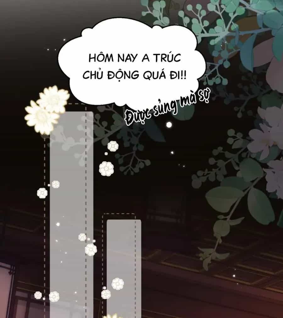Đến Đông Hải Tìm Mỹ Nhân - Chương 53 - ảnh 27