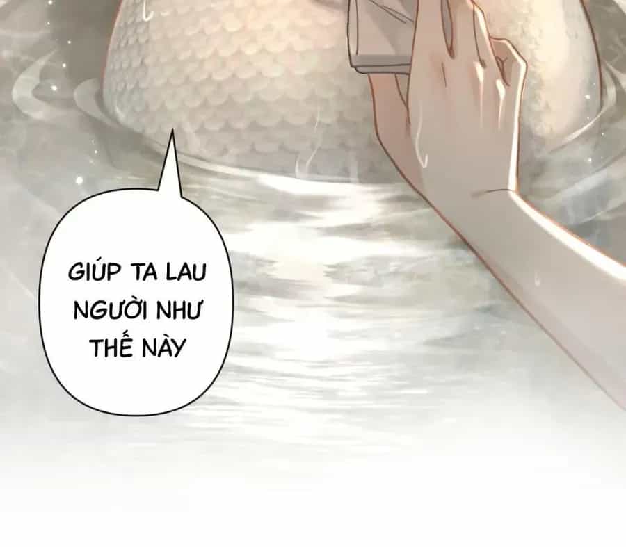 Đến Đông Hải Tìm Mỹ Nhân - Chương 53 - ảnh 37