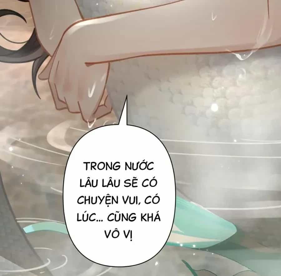 Đến Đông Hải Tìm Mỹ Nhân - Chương 53 - ảnh 48