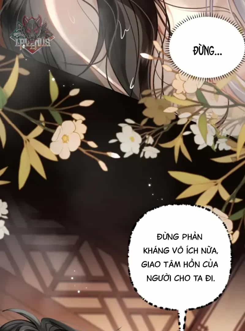 Đến Đông Hải Tìm Mỹ Nhân - Chương 54 - ảnh 12