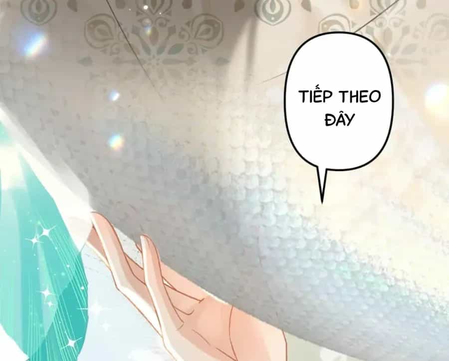 Đến Đông Hải Tìm Mỹ Nhân - Chương 55 - ảnh 88