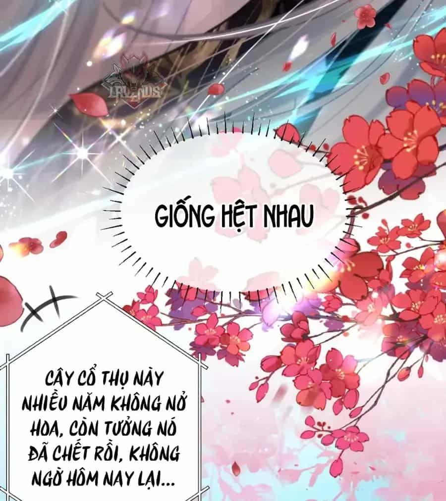 Đến Đông Hải Tìm Mỹ Nhân - Chương 58 - ảnh 43