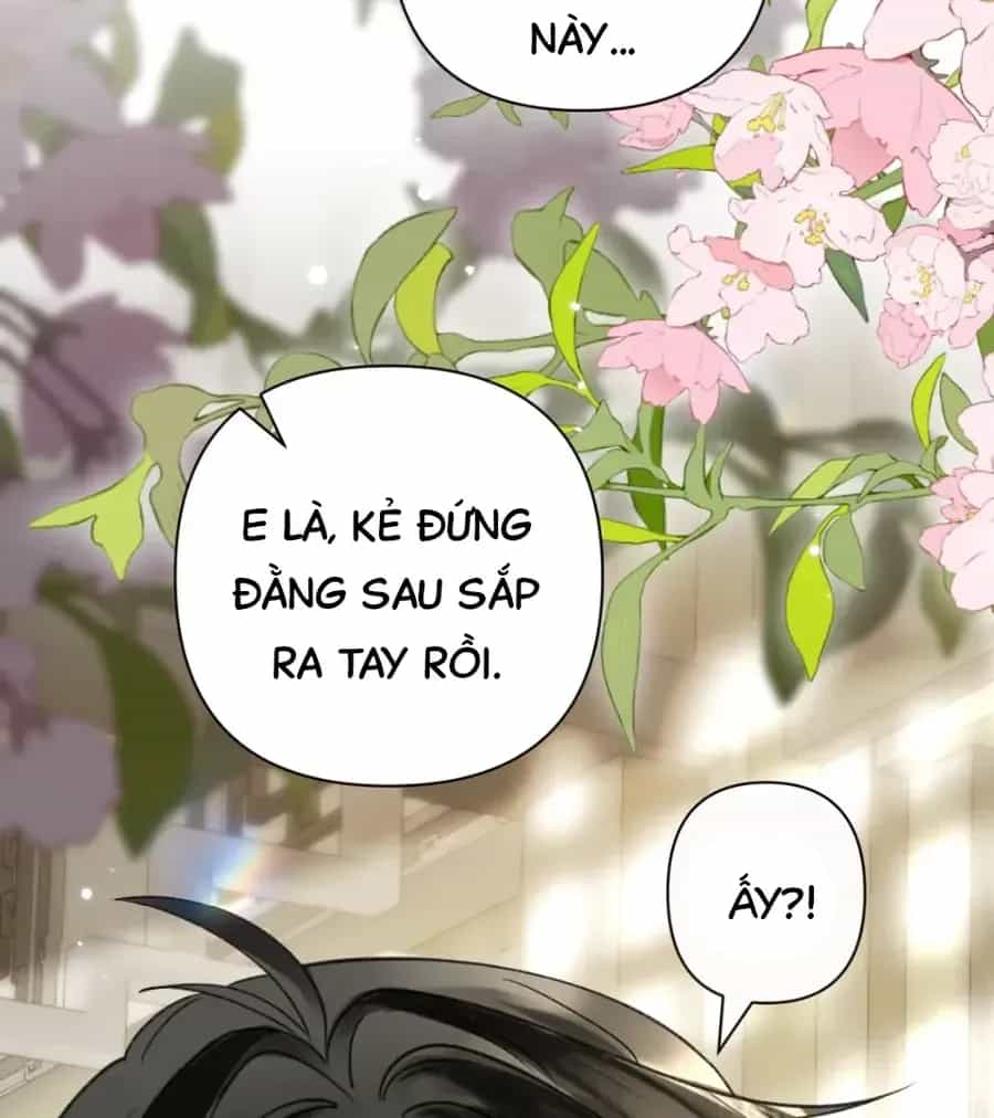 Đến Đông Hải Tìm Mỹ Nhân - Chương 58 - ảnh 79