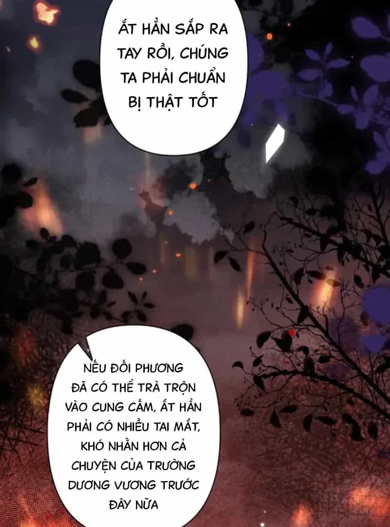 Đến Đông Hải Tìm Mỹ Nhân - Chương 62 - ảnh 13