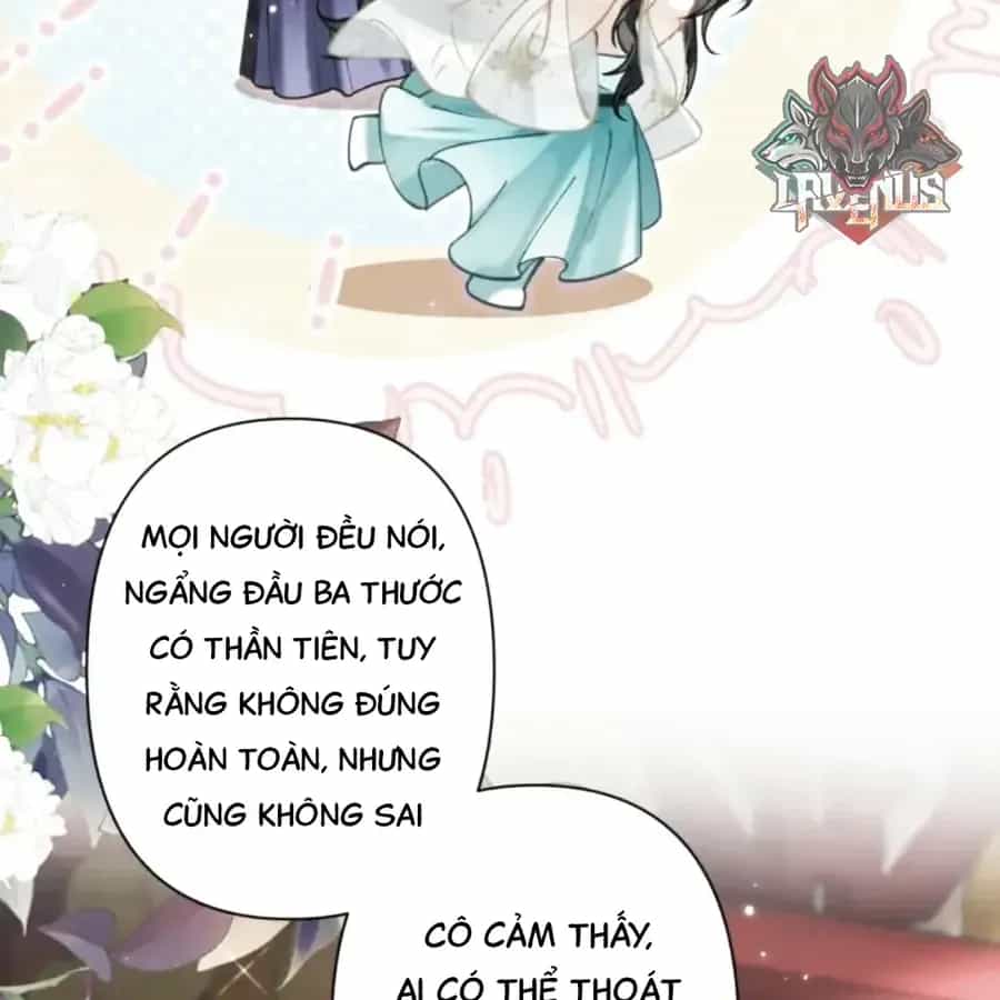 Đến Đông Hải Tìm Mỹ Nhân - Chương 63 - ảnh 37
