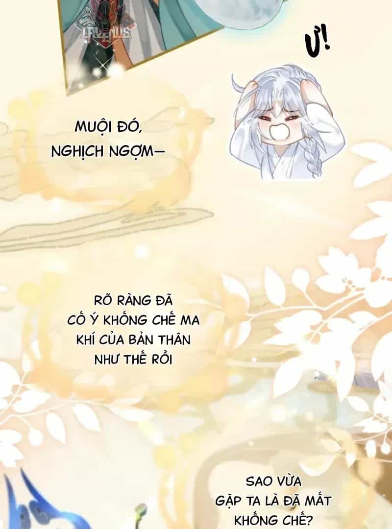Đến Đông Hải Tìm Mỹ Nhân - Chương 66 - ảnh 5
