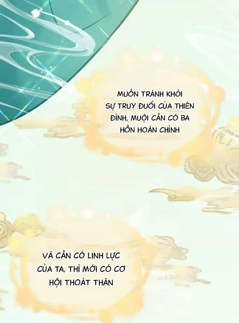 Đến Đông Hải Tìm Mỹ Nhân - Chương 68 - ảnh 29
