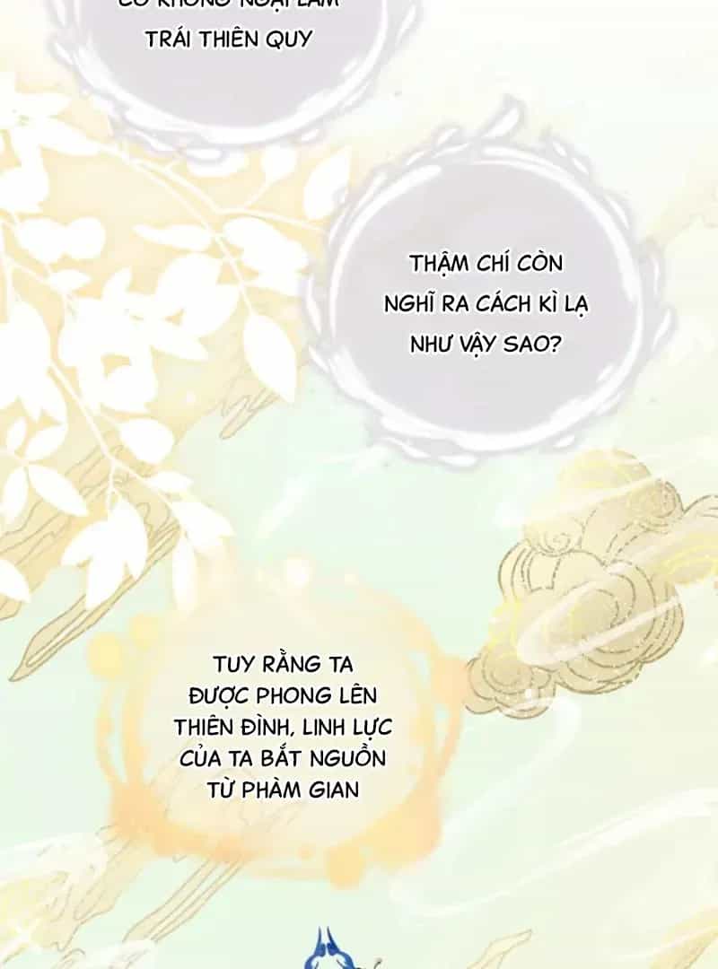 Đến Đông Hải Tìm Mỹ Nhân - Chương 68 - ảnh 37