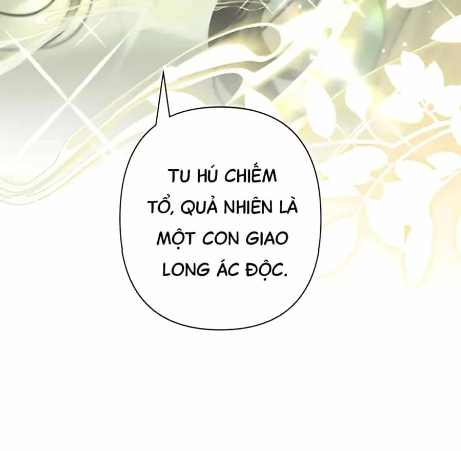 Đến Đông Hải Tìm Mỹ Nhân - Chương 70 - ảnh 91