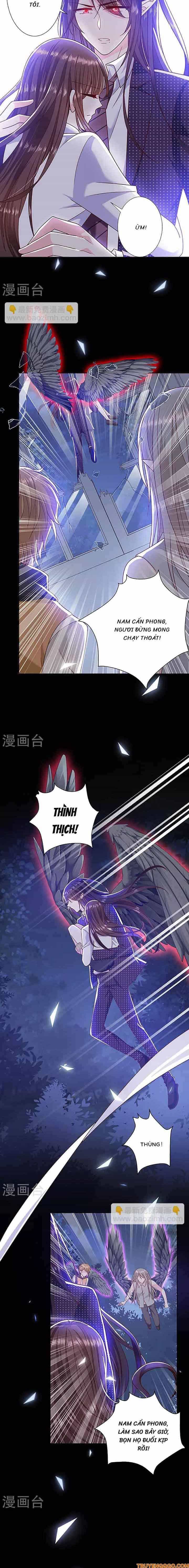 Devil Do Not Kiss Me - Chương 107 - ảnh 3