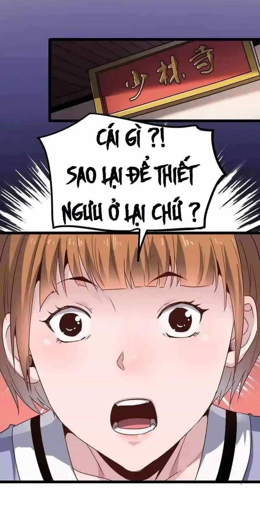 Dị Giới Kiến Tạo Tối Cường Thiếu Lâm Tự - Chương 17 - ảnh 40