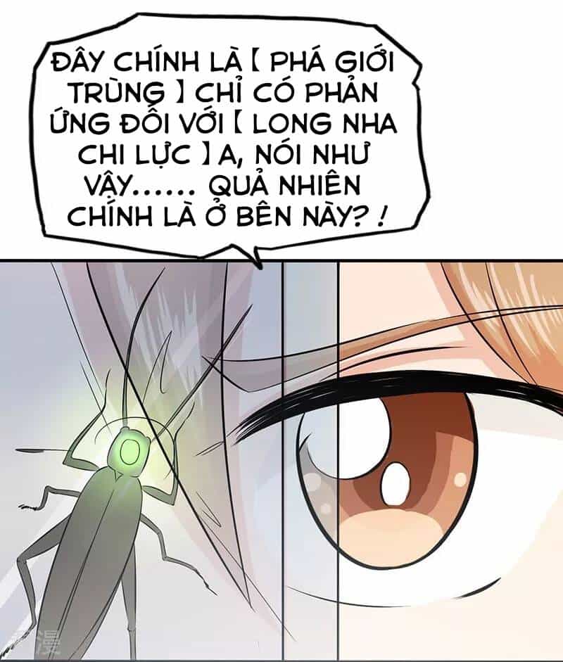 Địa Ngục Này Ta Mở Ra Đấy - Chương 95 - ảnh 3