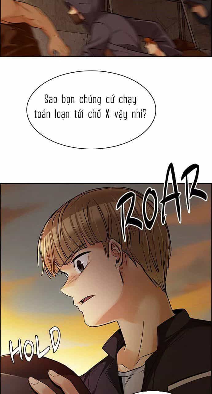 Dice - Chương 273.1 - ảnh 14