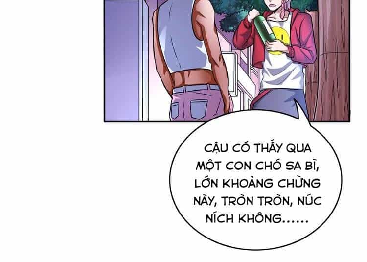 Diêm Vương Thay Thế - Chương 13 - ảnh 6