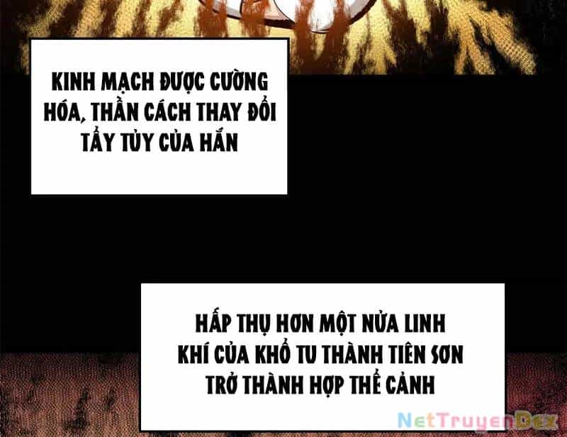 Đỉnh Cấp Khí Vận, Lặng Lẽ Tu Luyện Ngàn Năm - Chương 199 - ảnh 3