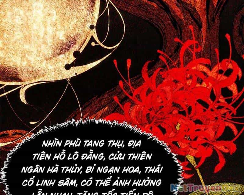 Đỉnh Cấp Khí Vận, Lặng Lẽ Tu Luyện Ngàn Năm - Chương 199 - ảnh 39