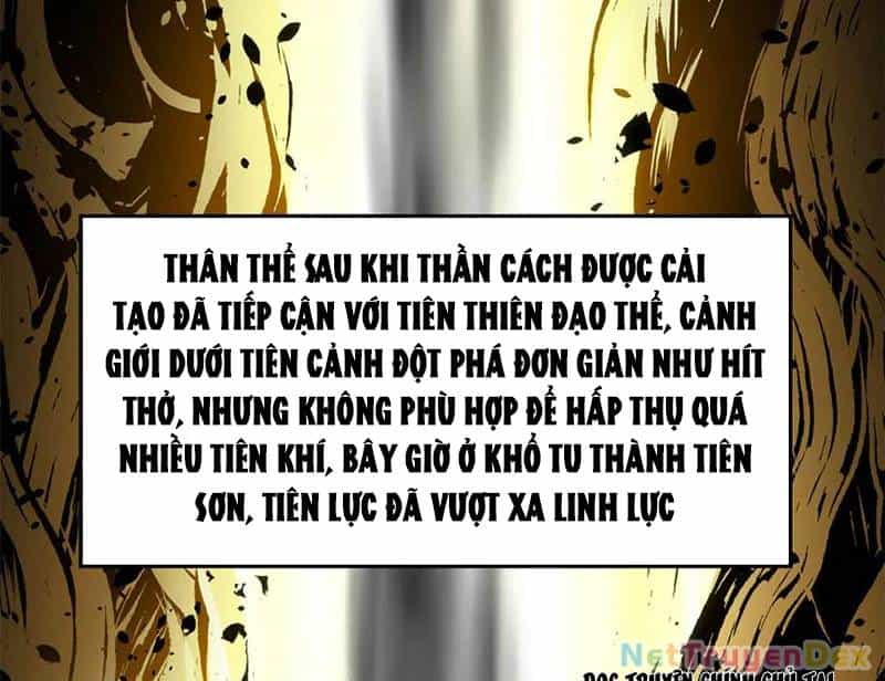 Đỉnh Cấp Khí Vận, Lặng Lẽ Tu Luyện Ngàn Năm - Chương 199 - ảnh 8
